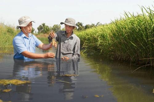 水产养殖效益最大化关键是什么