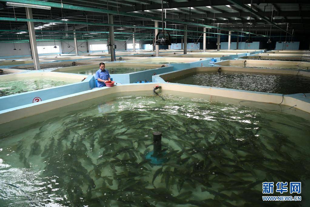 山东日照:“智慧渔业”助力水产养殖提质增效