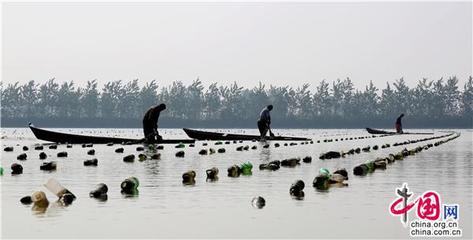 湖南沅江:万亩珍珠养殖退出河湖 重现碧水清流