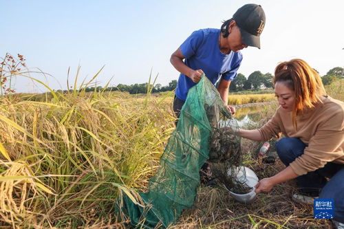 浙江诸暨 特色种养殖助力百姓共富